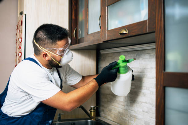 Best Affordable Pest Control Services  in Lynn, IN