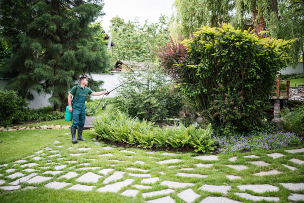 Wasp Removal Services in Lynn, IN