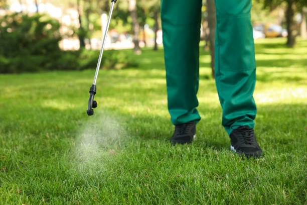 Best Mosquito Control Services  in Lynn, IN